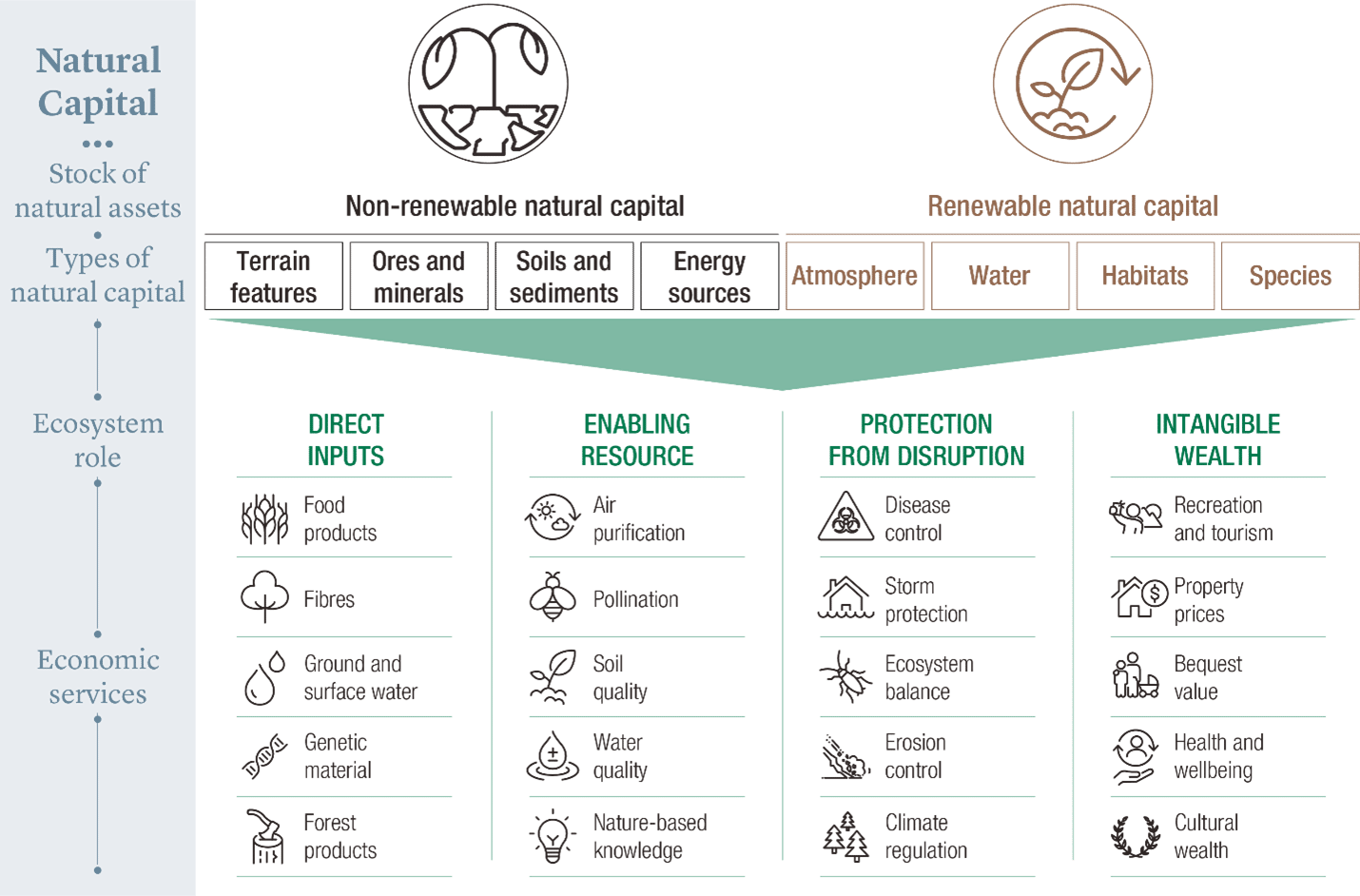 natural-capital-the-fundamentals-of-investing-in-fundamentals-sri360